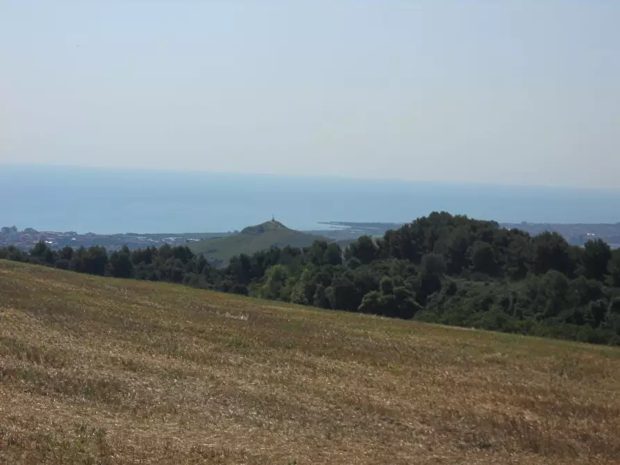 Immagine 6 di Rustico / casale in vendita  a San Benedetto Del Tronto