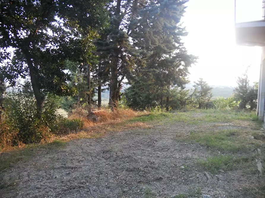 Immagine 5 di Rustico / casale in vendita  in contrada Lava a Offida