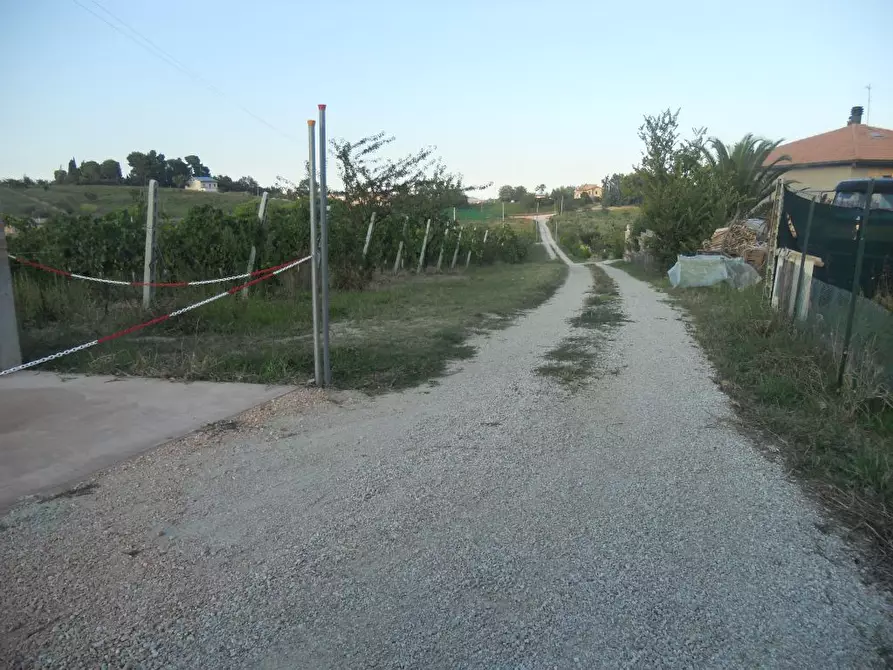Immagine 16 di Rustico / casale in vendita  in contrada Lava a Offida