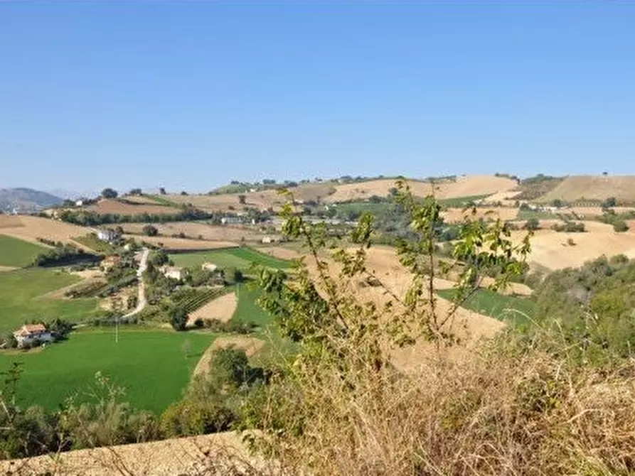 Immagine 17 di Rustico / casale in vendita  in Cont. valle di Rotella a Rotella