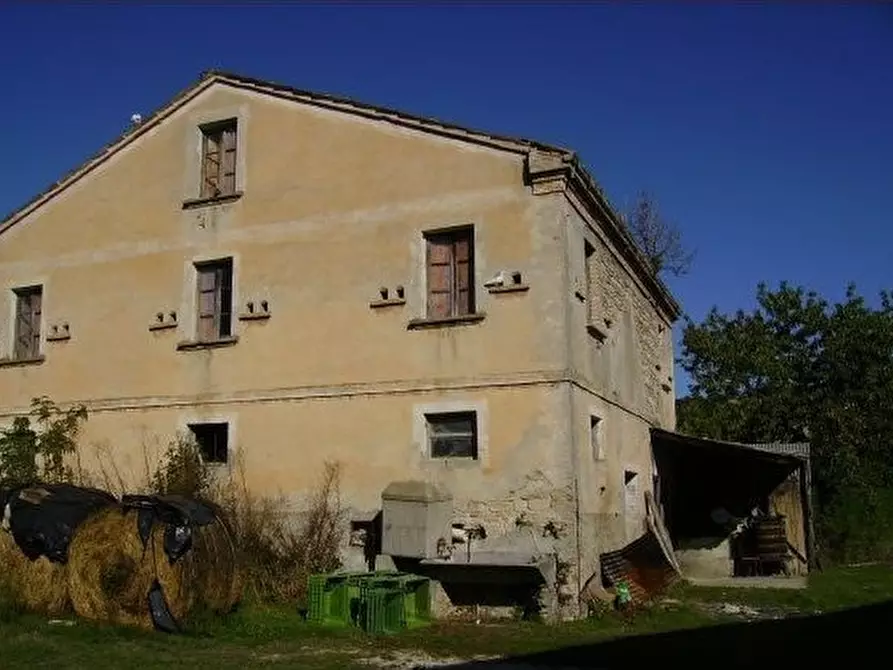 Immagine 3 di Rustico / casale in vendita  in Cont. valle di Rotella a Rotella