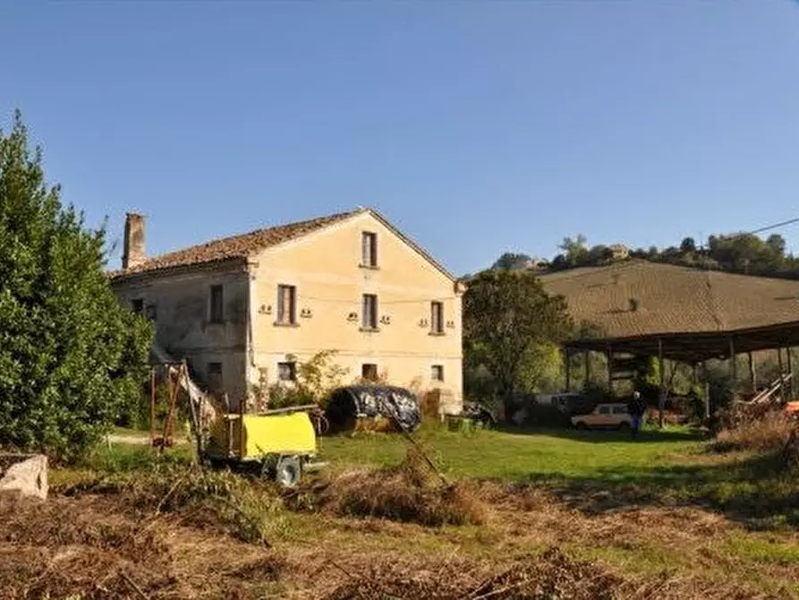 Immagine 4 di Rustico / casale in vendita  in Cont. valle di Rotella a Rotella