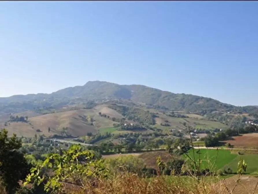 Immagine 2 di Rustico / casale in vendita  in Cont. valle di Rotella a Rotella