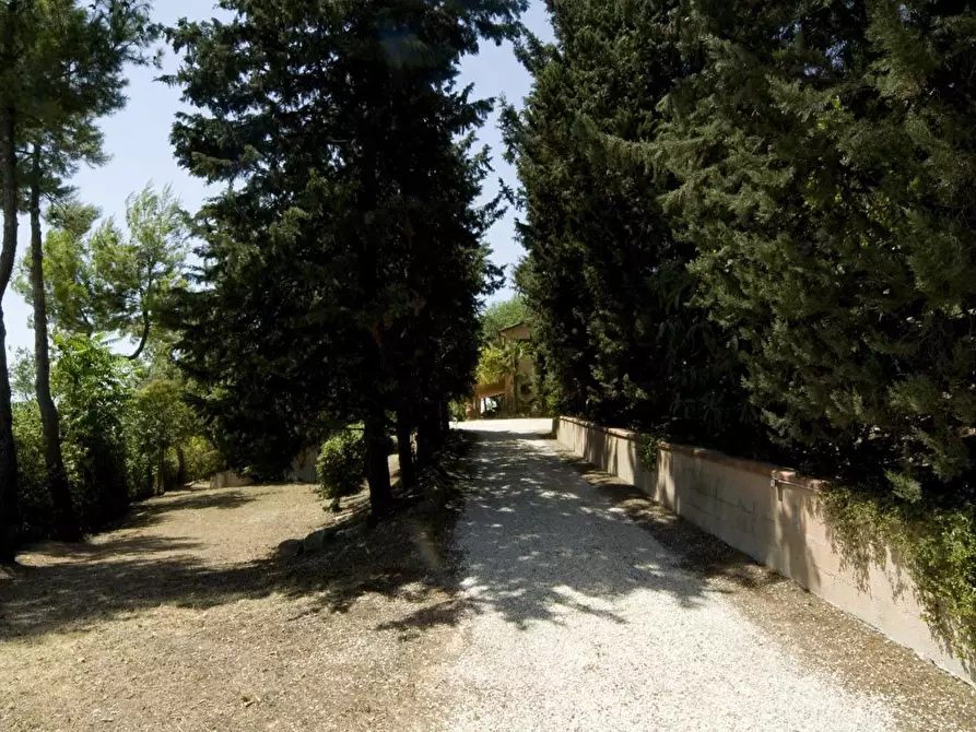 Immagine 3 di Rustico / casale in vendita  a Cossignano