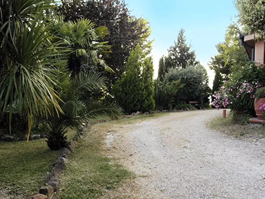 Immagine 5 di Rustico / casale in vendita  a Cossignano