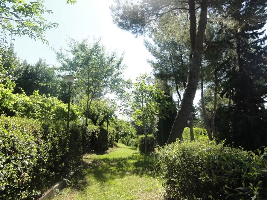 Immagine 10 di Rustico / casale in vendita  a Cossignano