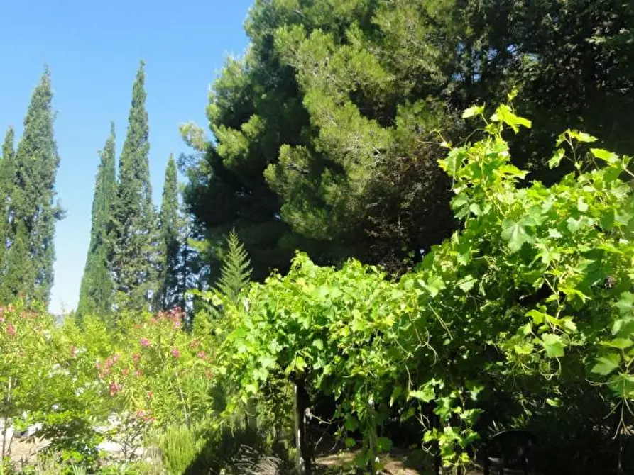 Immagine 11 di Rustico / casale in vendita  a Cossignano