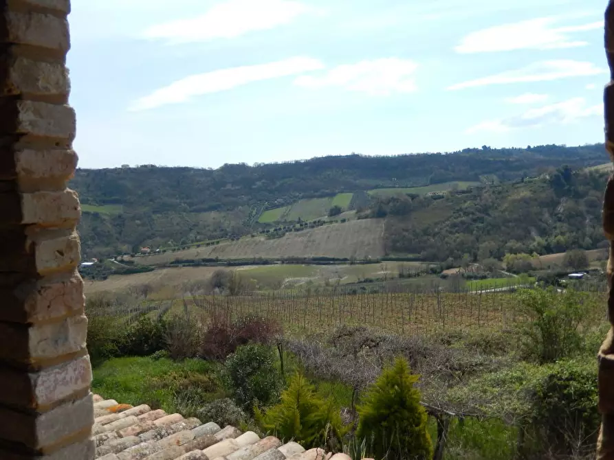 Immagine 22 di Rustico / casale in vendita  a Ripatransone