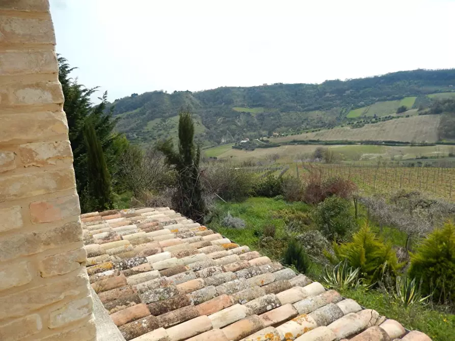 Immagine 17 di Rustico / casale in vendita  a Ripatransone