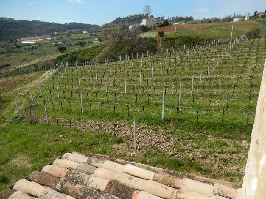 Immagine 18 di Rustico / casale in vendita  a Ripatransone