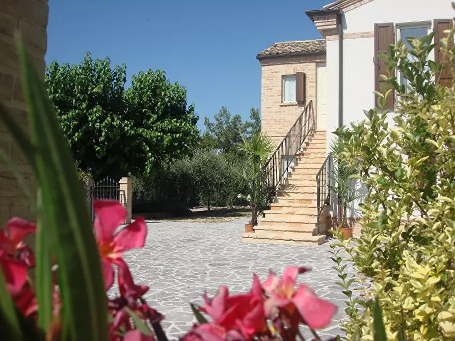 Immagine 2 di Rustico / casale in affitto  a Montefiore Dell'aso