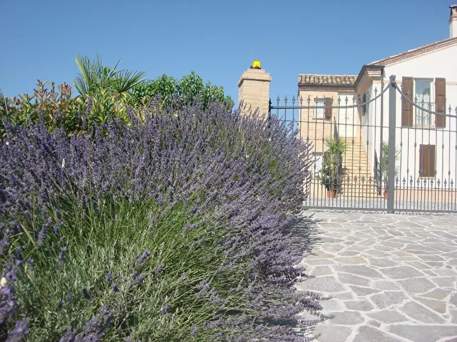 Immagine 4 di Rustico / casale in affitto  a Montefiore Dell'aso