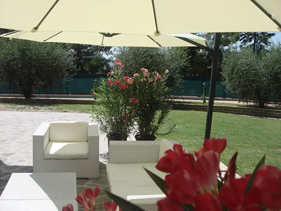 Immagine 22 di Rustico / casale in affitto  a Montefiore Dell'aso