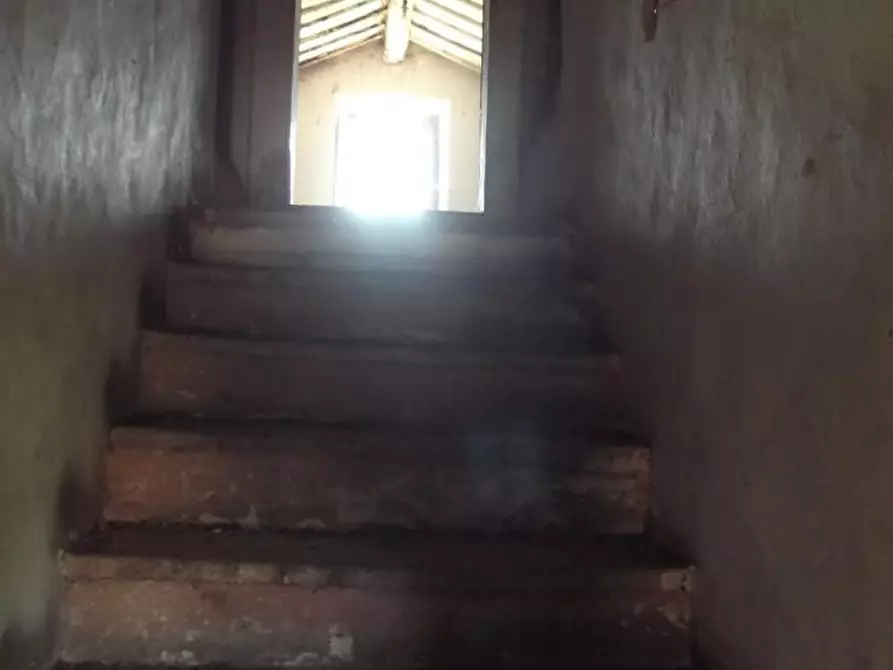 Immagine 12 di Rustico / casale in vendita  in Cont. valle di Rotella a Rotella