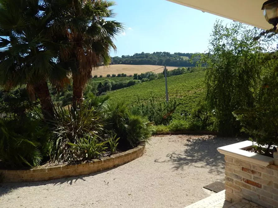 Immagine 29 di Villa in vendita  a Ancarano