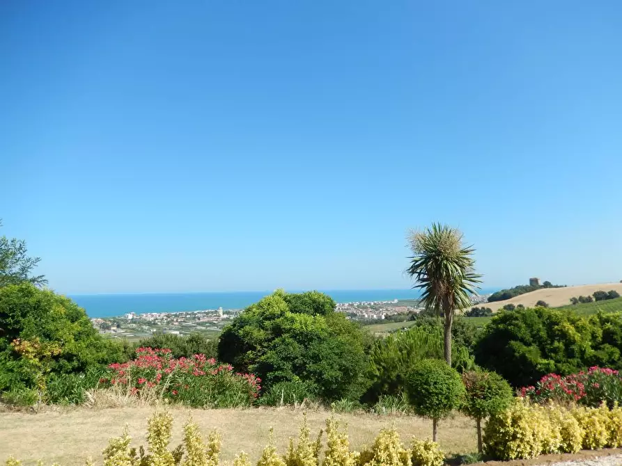 Immagine 31 di Villa in vendita  a Ancarano