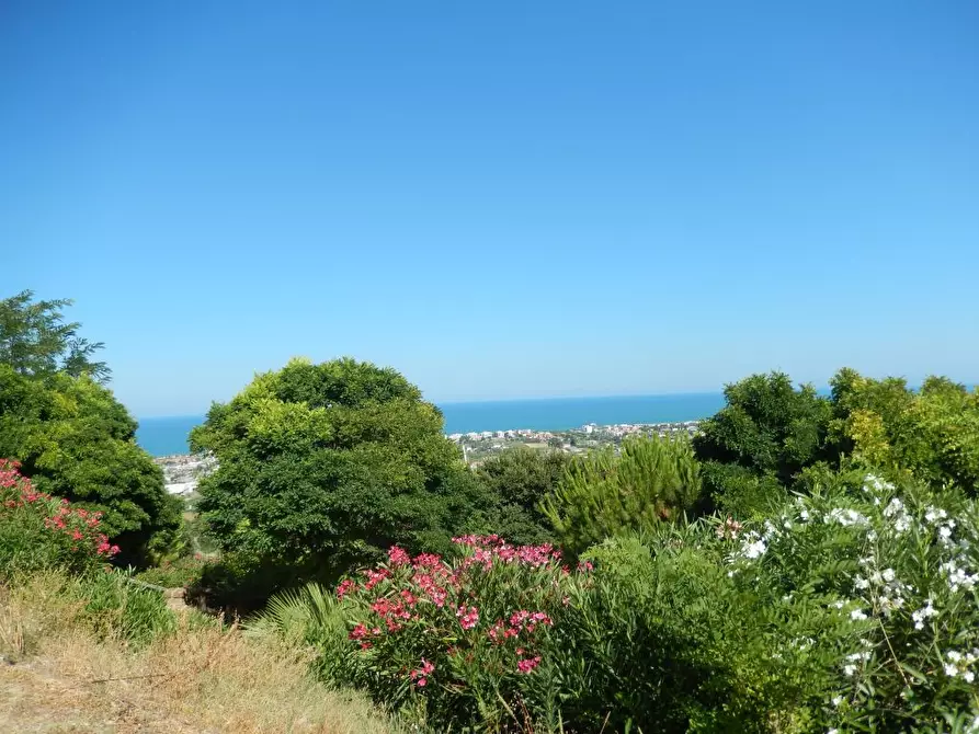 Immagine 32 di Villa in vendita  a Ancarano