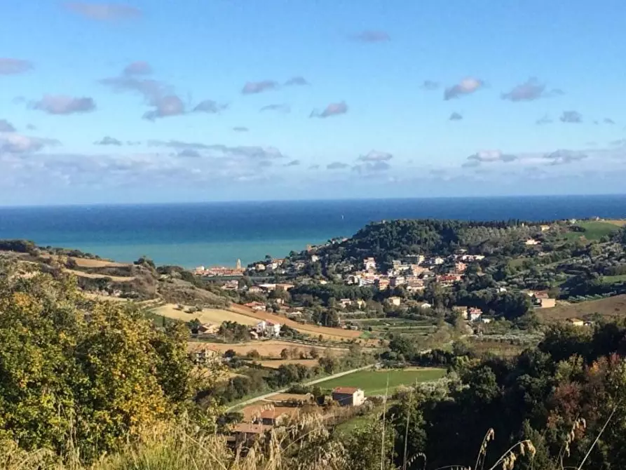 Immagine 39 di Agriturismo in vendita  a Cupra Marittima