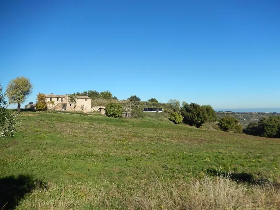 Immagine 5 di Agriturismo in vendita  a Cupra Marittima