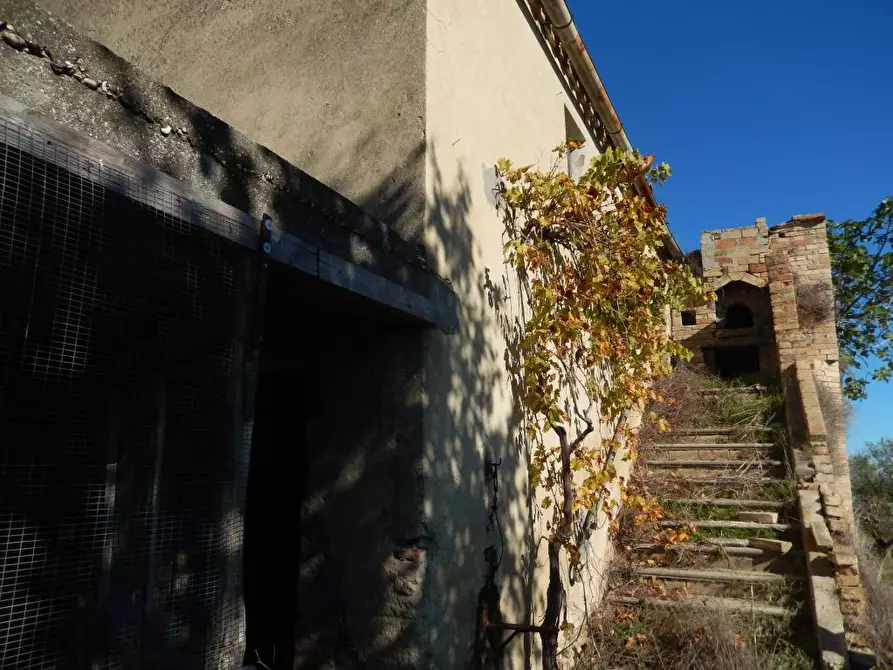 Immagine 9 di Agriturismo in vendita  a Cupra Marittima