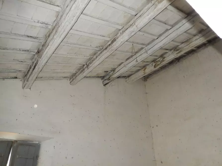 Immagine 30 di Agriturismo in vendita  a Cupra Marittima