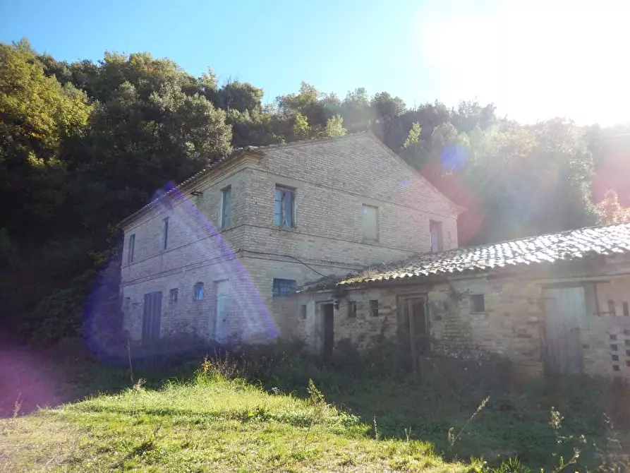 Immagine 22 di Agriturismo in vendita  a Cupra Marittima