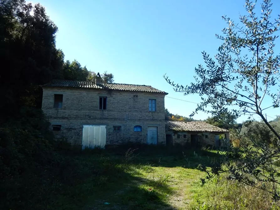 Immagine 23 di Agriturismo in vendita  a Cupra Marittima