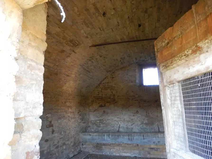 Immagine 34 di Agriturismo in vendita  a Cupra Marittima