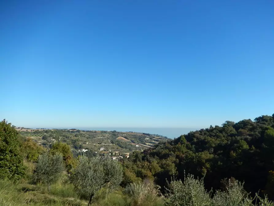 Immagine 36 di Agriturismo in vendita  a Cupra Marittima