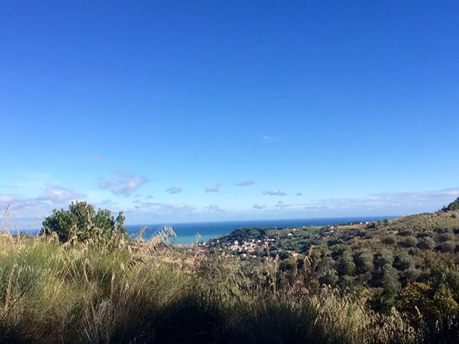 Immagine 37 di Agriturismo in vendita  a Cupra Marittima