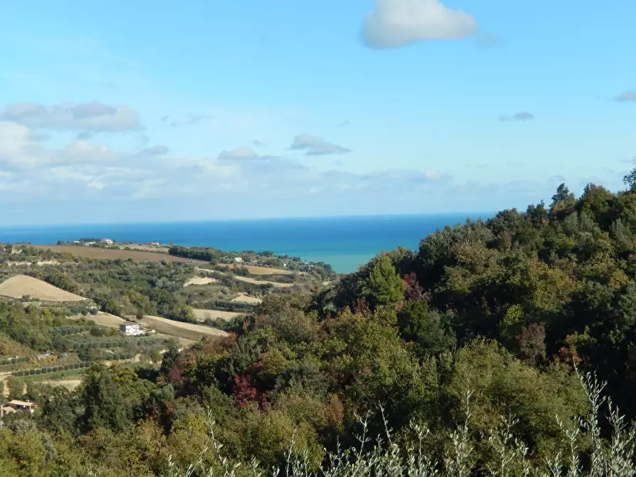 Immagine 38 di Agriturismo in vendita  a Cupra Marittima