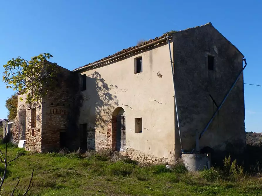 Immagine 7 di Agriturismo in vendita  a Cupra Marittima