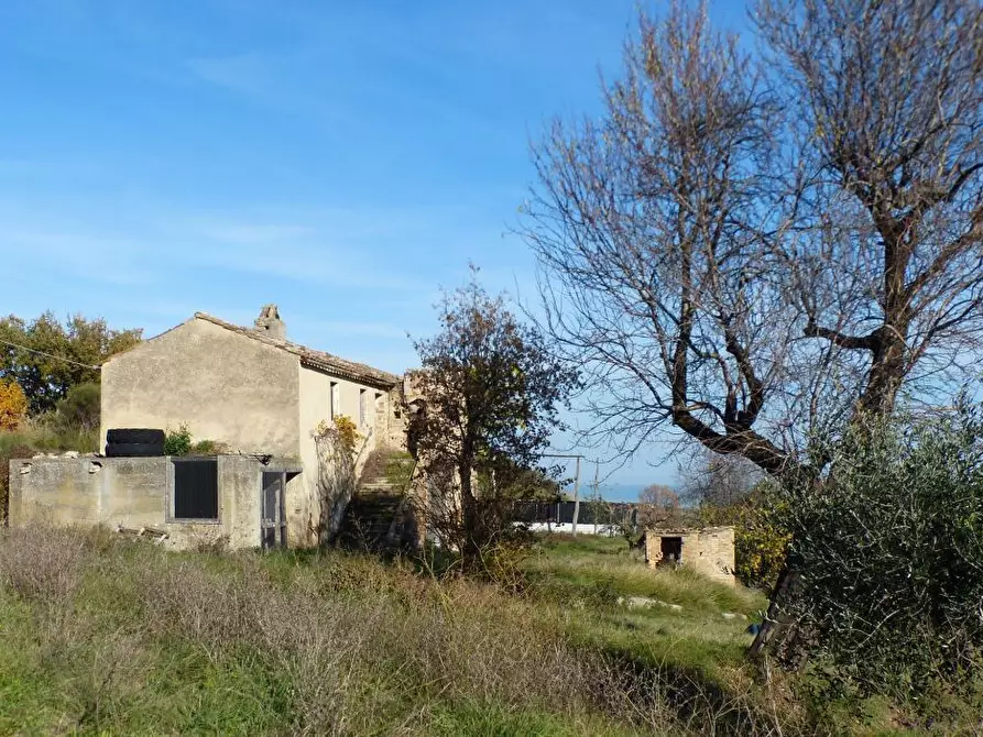 Immagine 6 di Agriturismo in vendita  a Cupra Marittima