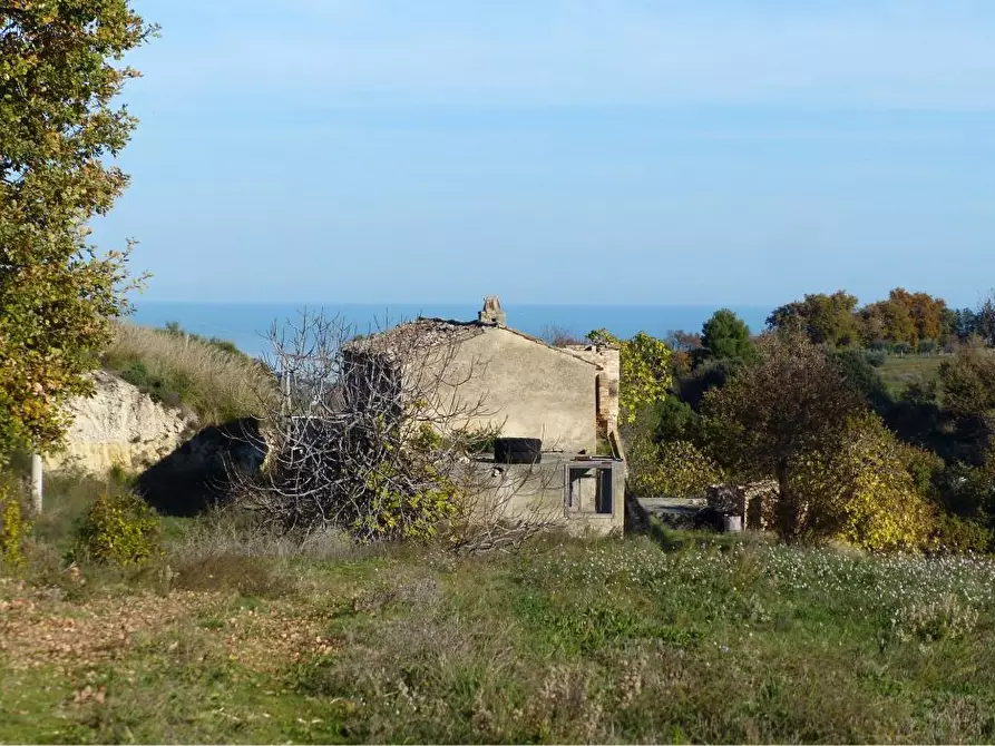 Immagine 4 di Agriturismo in vendita  a Cupra Marittima