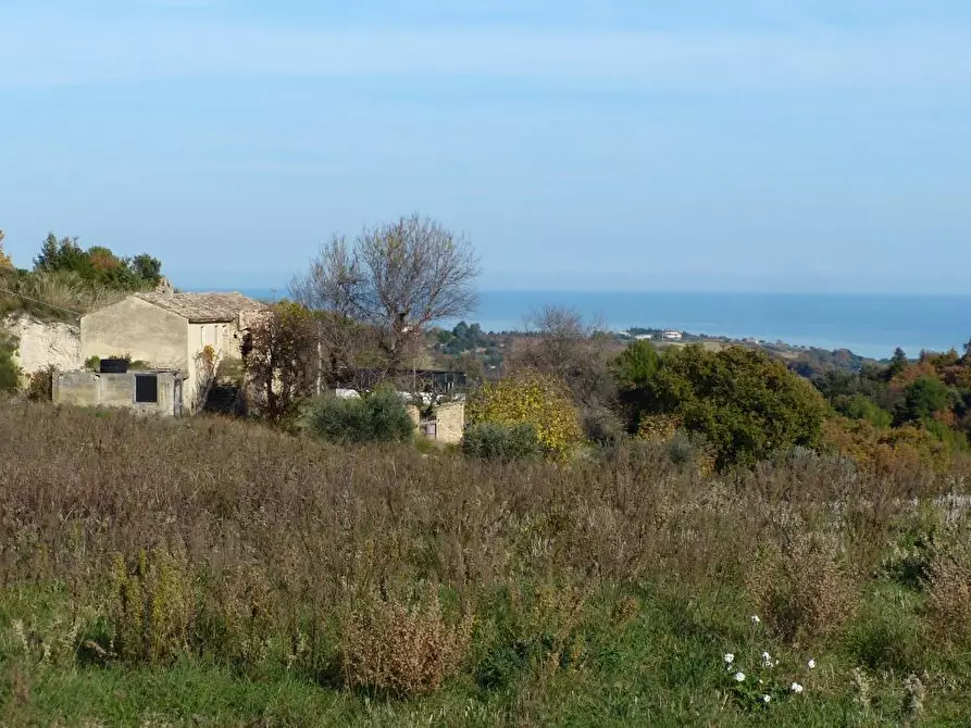 Immagine 3 di Agriturismo in vendita  a Cupra Marittima