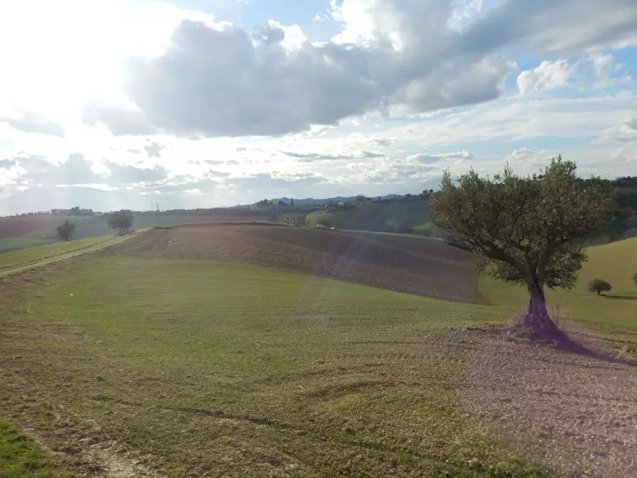 Immagine 8 di Rustico / casale in vendita  a Monteprandone