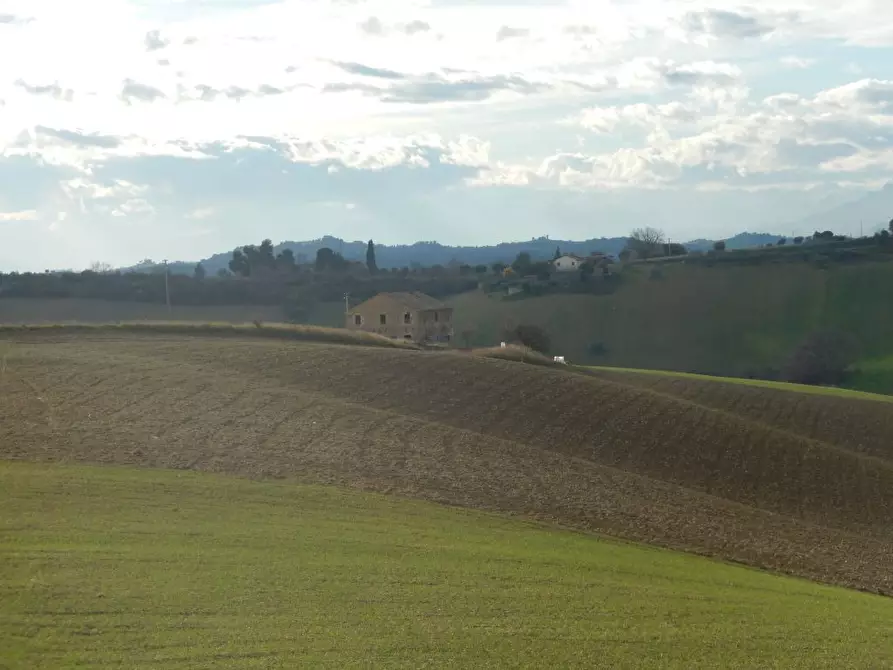 Immagine 16 di Rustico / casale in vendita  a Monteprandone