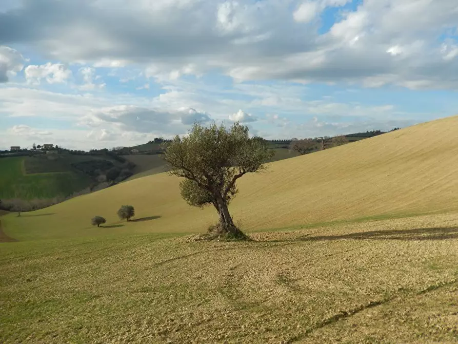 Immagine 10 di Rustico / casale in vendita  a Monteprandone