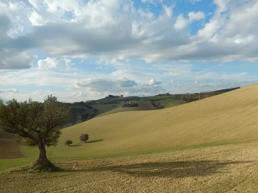 Immagine 13 di Rustico / casale in vendita  a Monteprandone