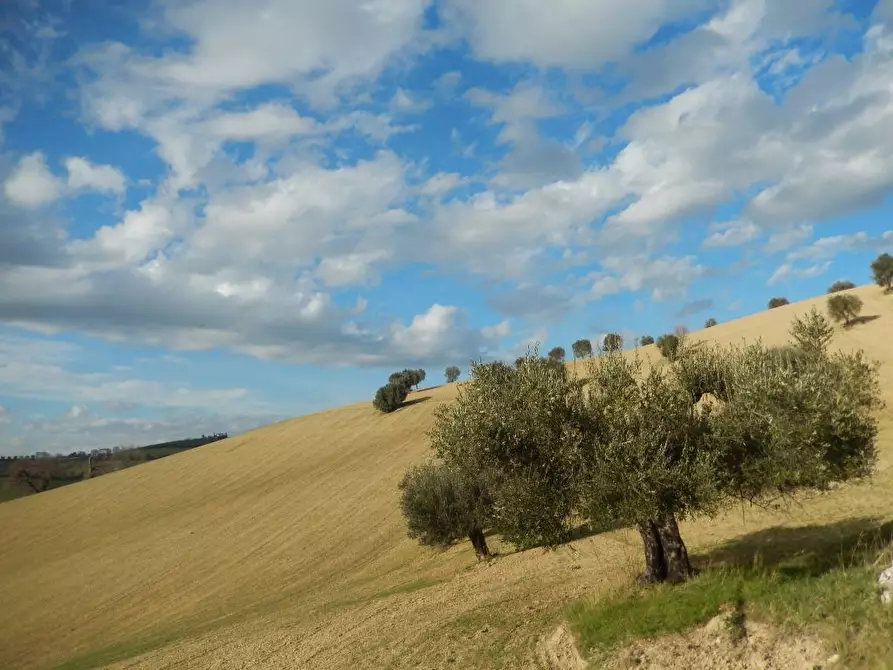 Immagine 14 di Rustico / casale in vendita  a Monteprandone