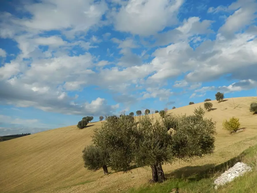 Immagine 15 di Rustico / casale in vendita  a Monteprandone