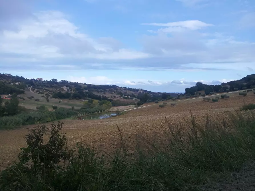 Immagine 14 di Rustico / casale in vendita  a Altidona