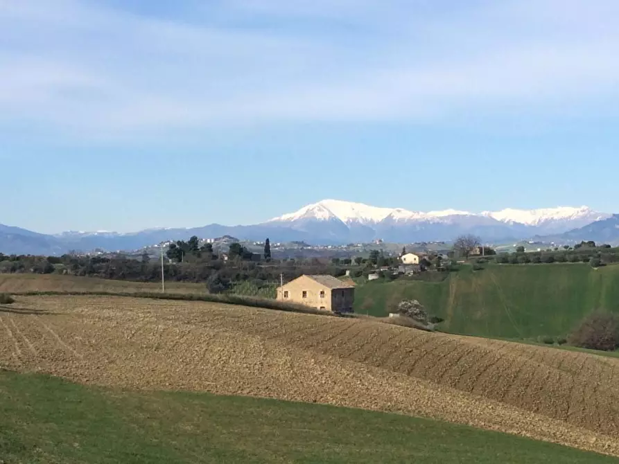Immagine 5 di Rustico / casale in vendita  a Monteprandone