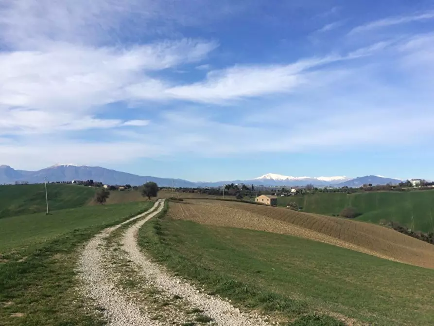 Immagine 7 di Rustico / casale in vendita  a Monteprandone