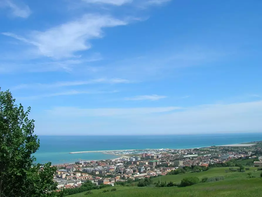 Immagine 7 di Terreno agricolo in vendita  in Zona Collinare, ragnola a San Benedetto Del Tronto