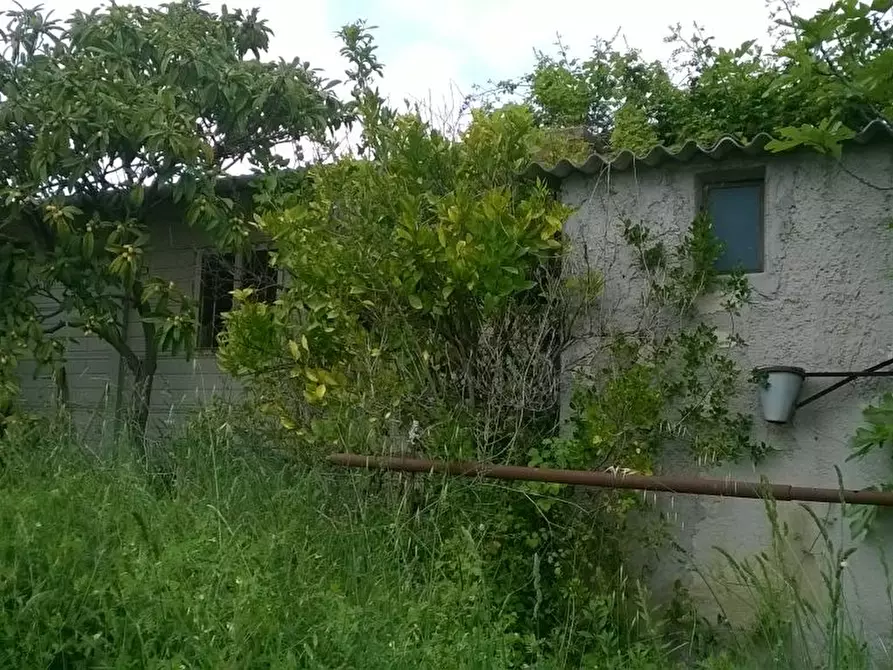Immagine 9 di Terreno agricolo in vendita  in Zona Collinare, ragnola a San Benedetto Del Tronto