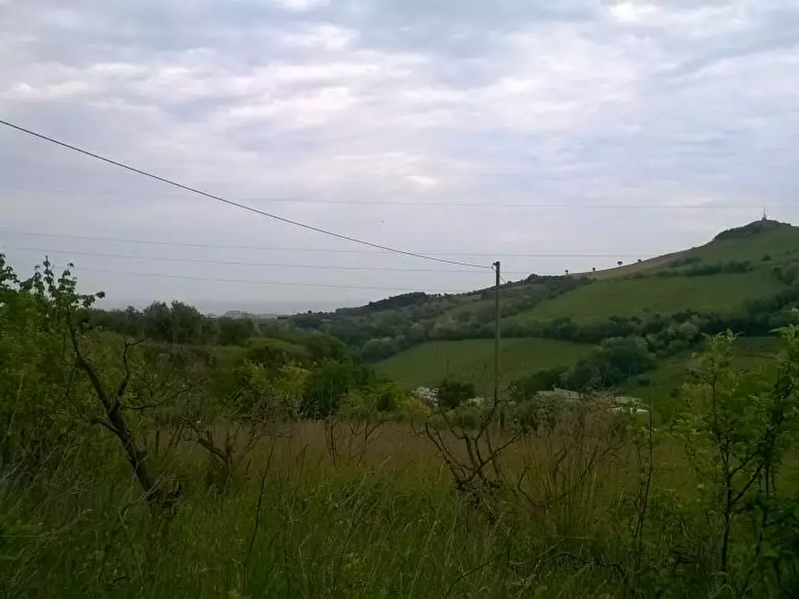Immagine 8 di Terreno agricolo in vendita  in Zona Collinare, ragnola a San Benedetto Del Tronto