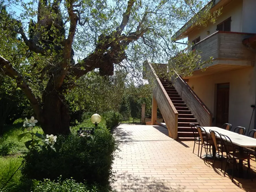 Immagine 5 di Rustico / casale in vendita  a Ancarano