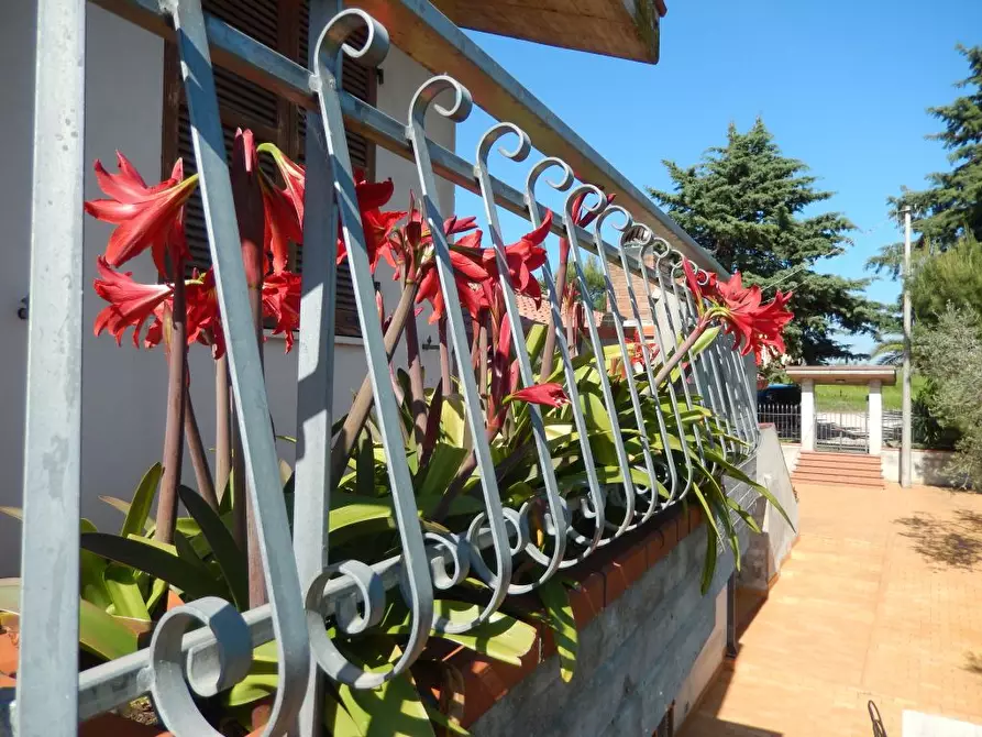 Immagine 15 di Rustico / casale in vendita  a Ancarano