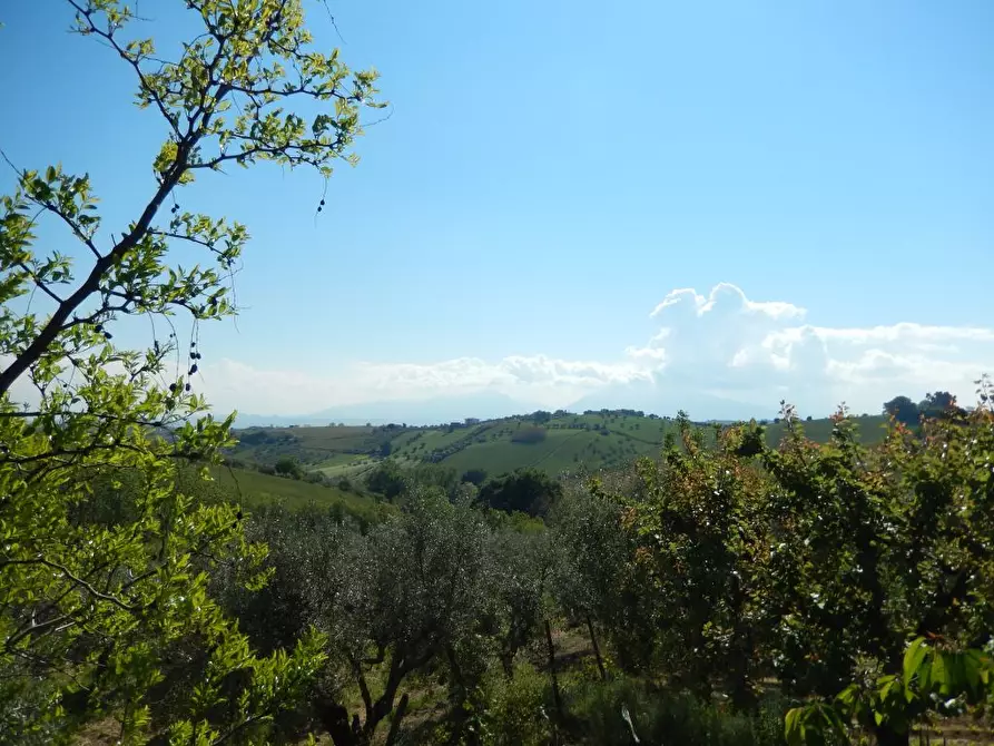 Immagine 16 di Rustico / casale in vendita  a Ancarano